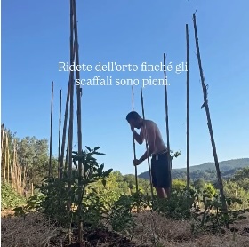 Instagram post 2