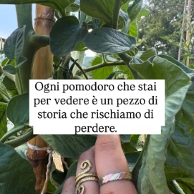 Instagram post 6